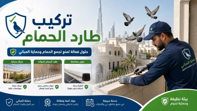 شركة مكافحة الحمام في عجمان 0555241770 خصم 30%